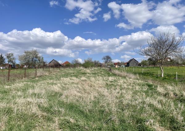 Veľký 5i RD pod Malými Karpatami, pivnica, pozemok 2013 m2