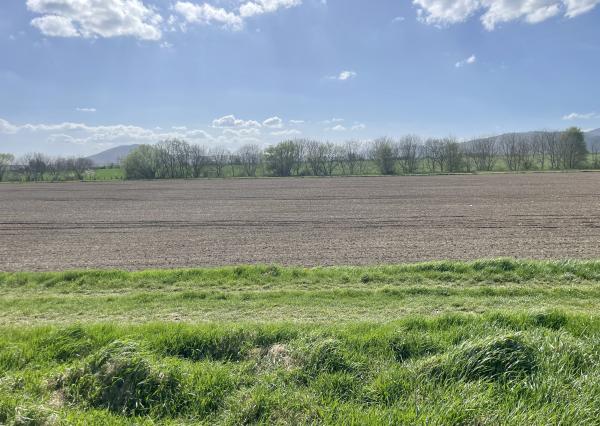 Veľký 5i RD pod Malými Karpatami, pivnica, pozemok 2013 m2