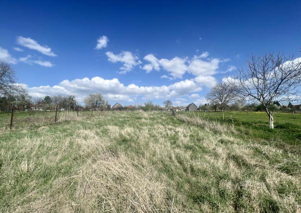 Veľký 5i RD pod Malými Karpatami, pivnica, pozemok 2013 m2