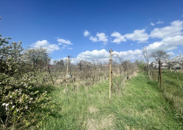 Veľký 5i RD pod Malými Karpatami, pivnica, pozemok 2013 m2