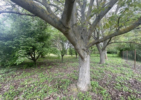 Dvojpodlažný rodinný dom na krásnom veľkom pozemku