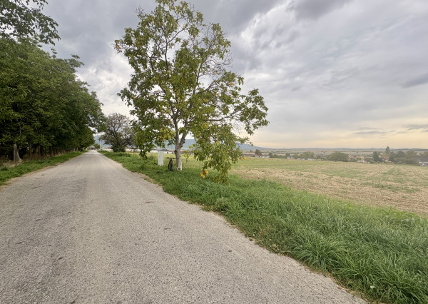 Investičná príležitosť len 10 min. od Trnavy! 2340 m2
