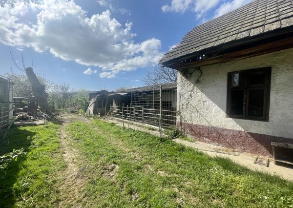 Veľký 5i RD pod Malými Karpatami, pivnica, pozemok 2013 m2