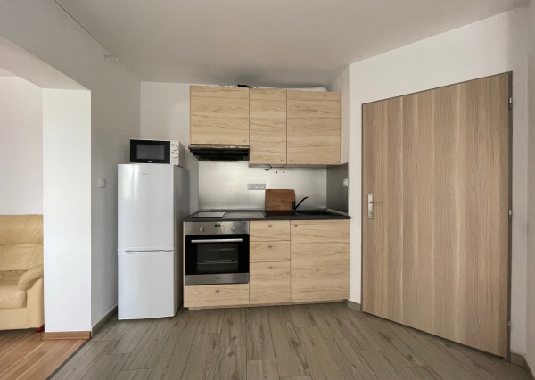 Zariadený 1-izbový byt v RD s parkovacím miestom