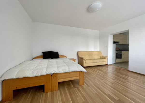 Zariadený 1-izbový byt v RD s parkovacím miestom